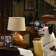 Illustration for article titled Dog With A Blog—“Stan’s Old Owner”